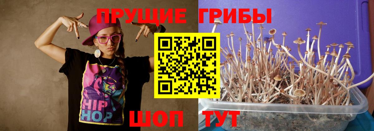 Галлюциногенные грибы ЛСД  Псилоцибиновые грибы мицелий  Вход с VPN  Медногорск 